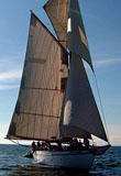 Croisière des 20 ans