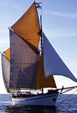 Croisière des 20 ans