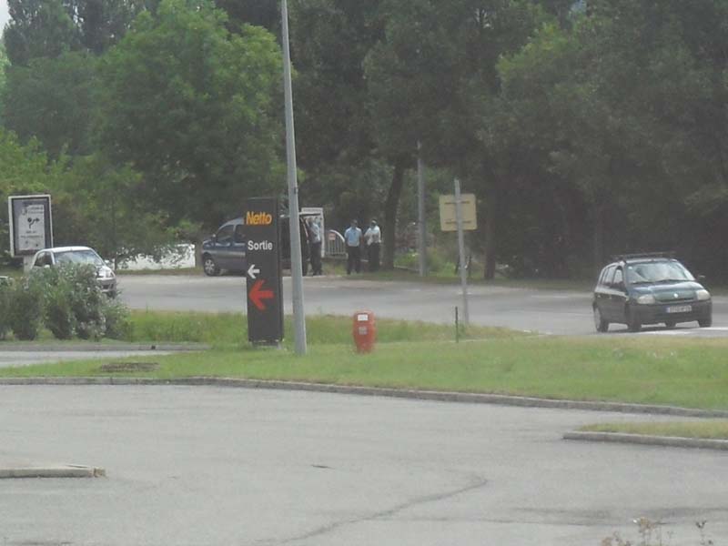 SDC10787